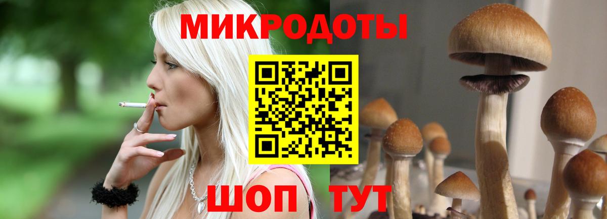 Томск  Псилоцибиновые грибы GOLDEN TEACHER  Вход с VPN 